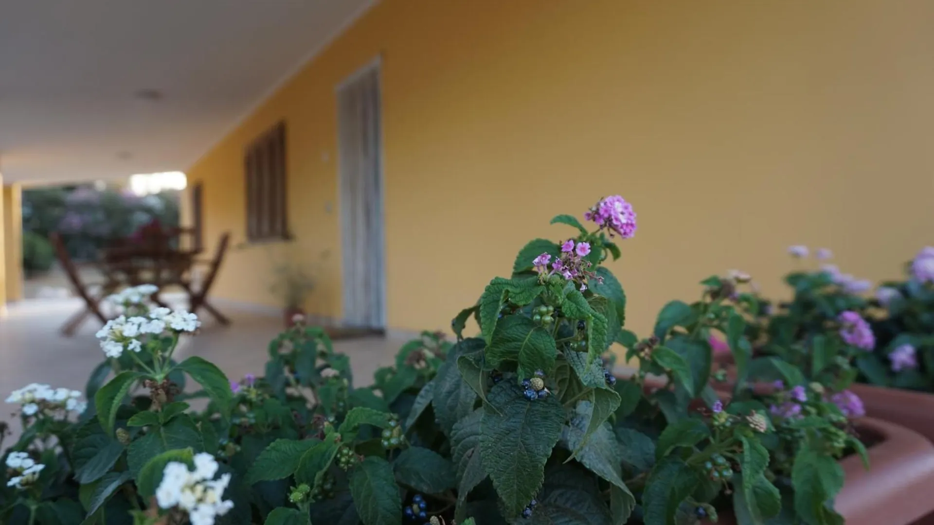 Bombarde Natural House Alghero Itália