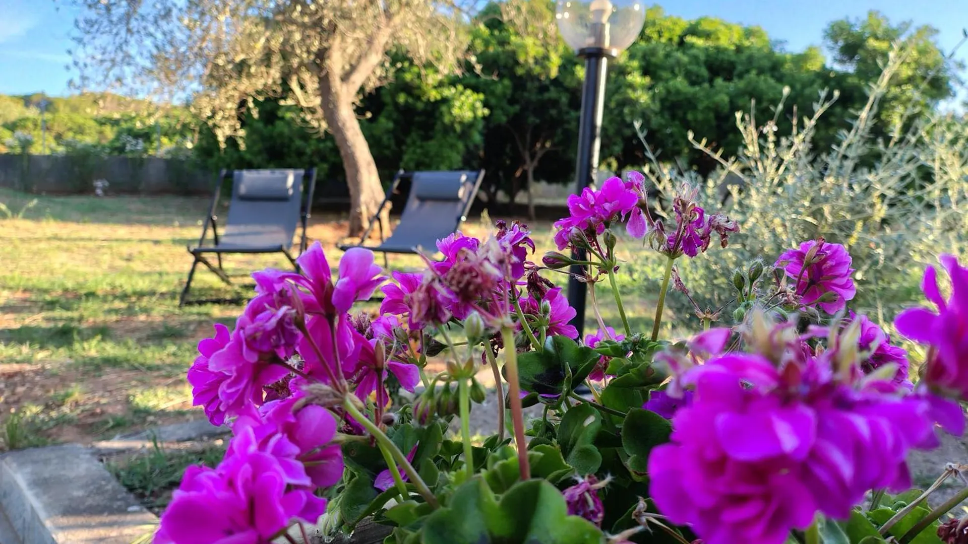 Bombarde Natural House Alghero Apartamento