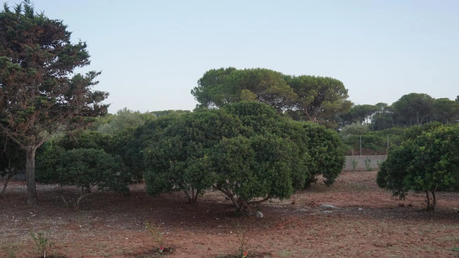 Bombarde Natural House Alghero Italia